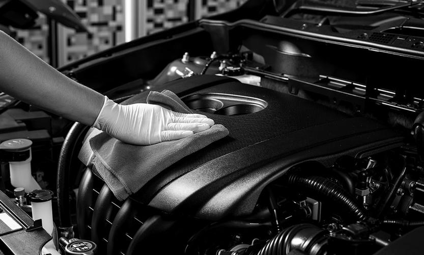 Engine Bay Detail This service is for you, if your engine bay contains debris, is heavily greased, and oil marks and would like to restore it to pristine looking condition.